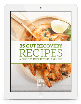 Gut Healing Recipes eBook
