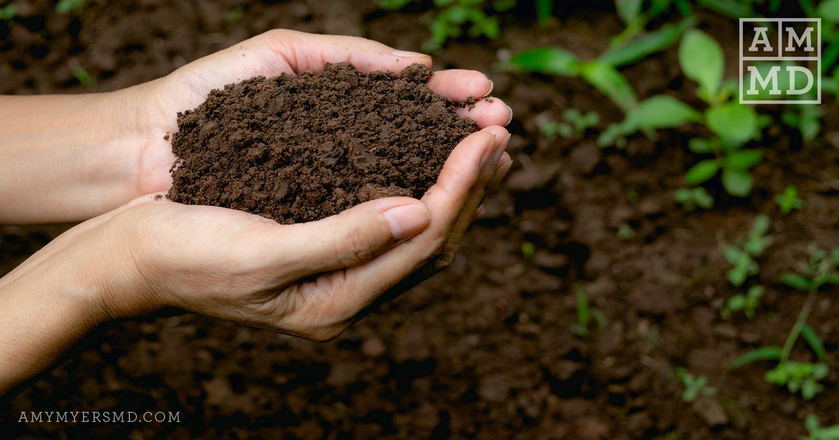 Composting: The New (Old) Way to Boost Nutrients