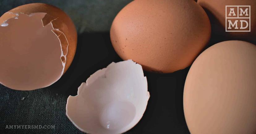 What are Eggshell Membrane Collagen Benefits?