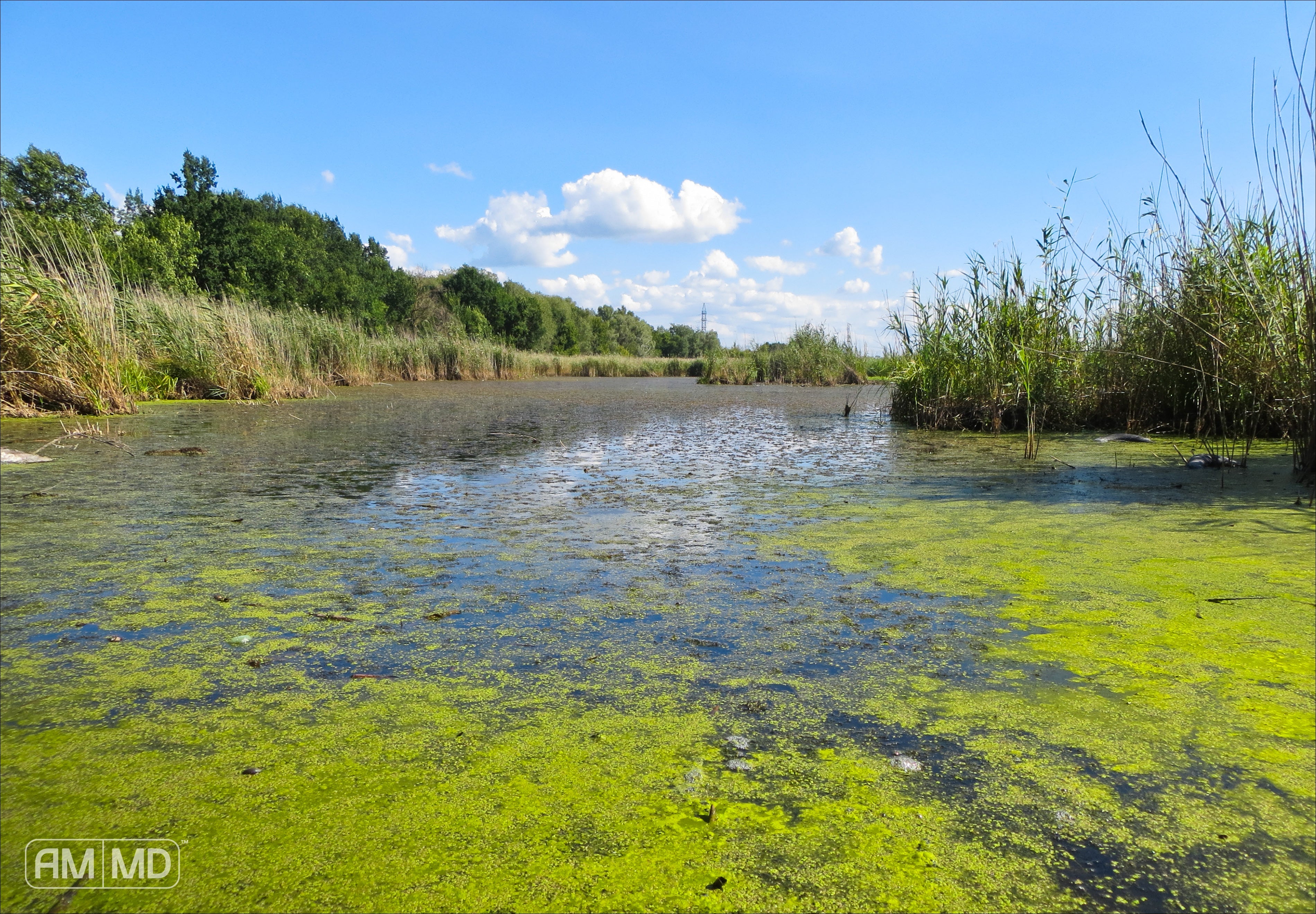 What Is a Biofilm and Why Do You Need Biofilm Disruptors