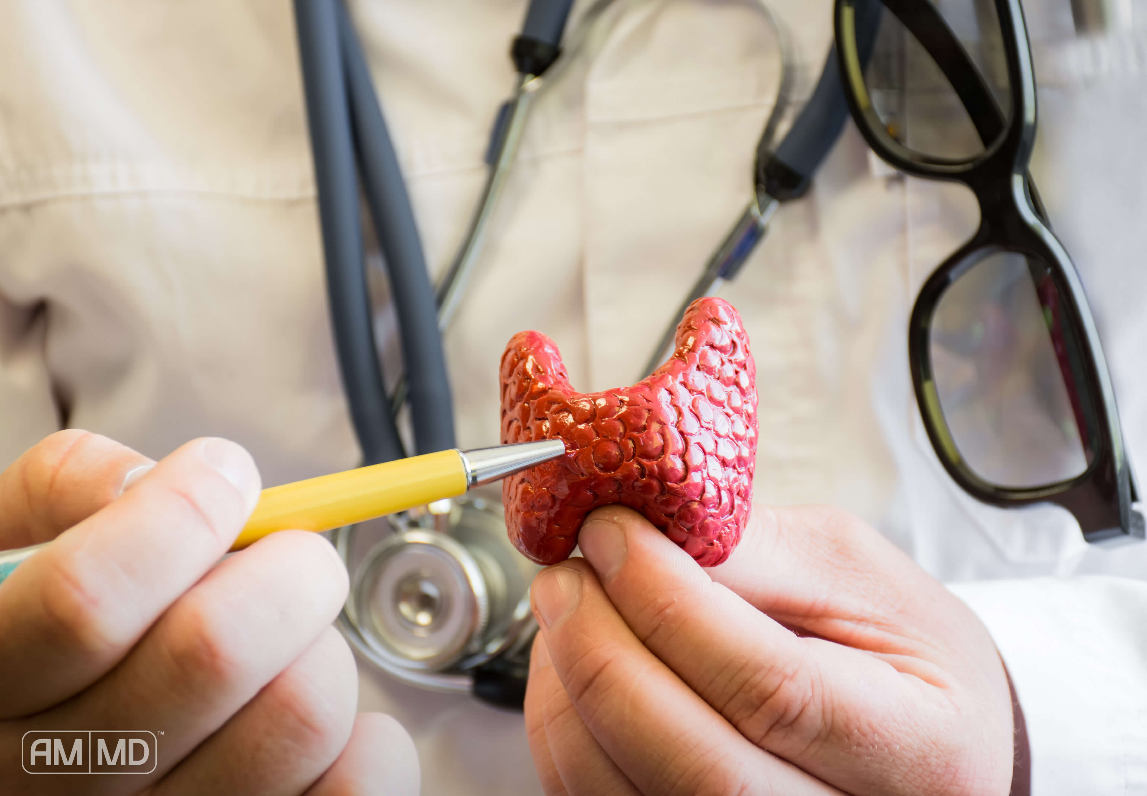Dr Pointing at Thyroid Model - What You Need to Know About Thyroid Disease - Amy Myers, MD®