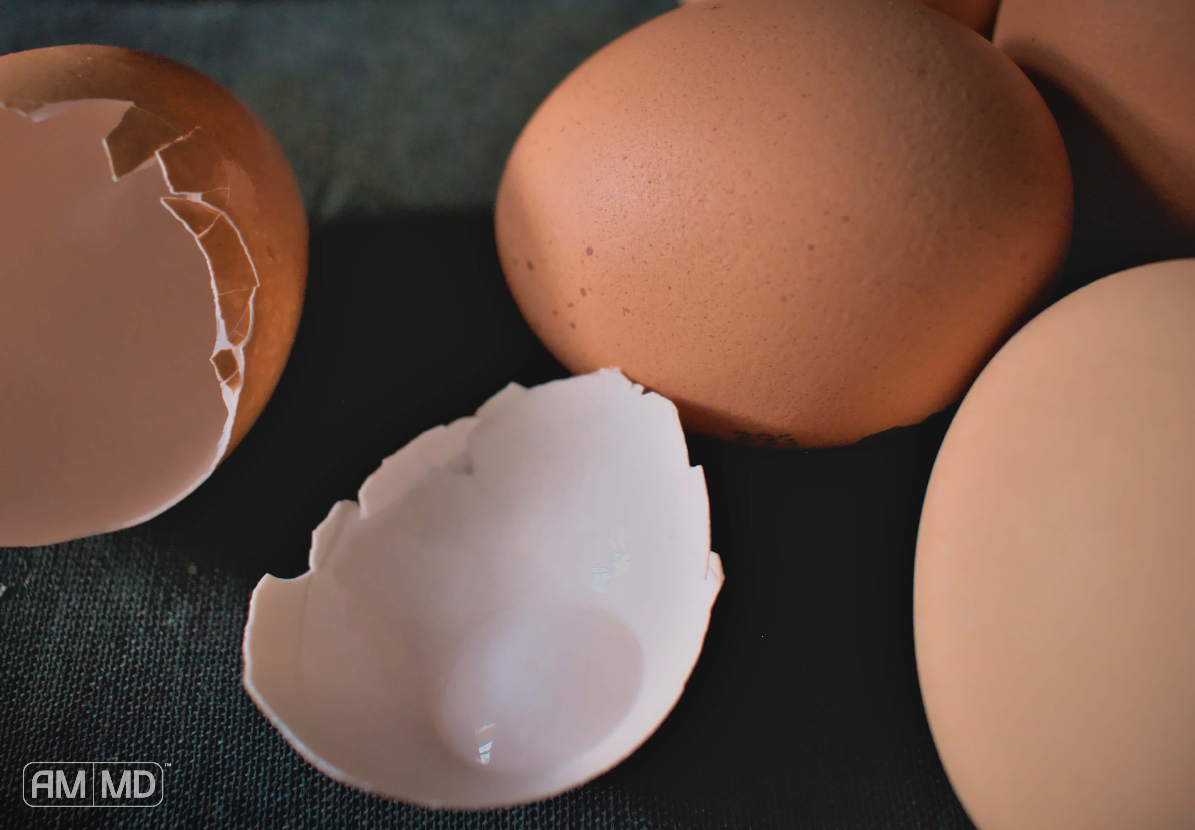 Eggshell Membrane Collagen - Amy Myers MD