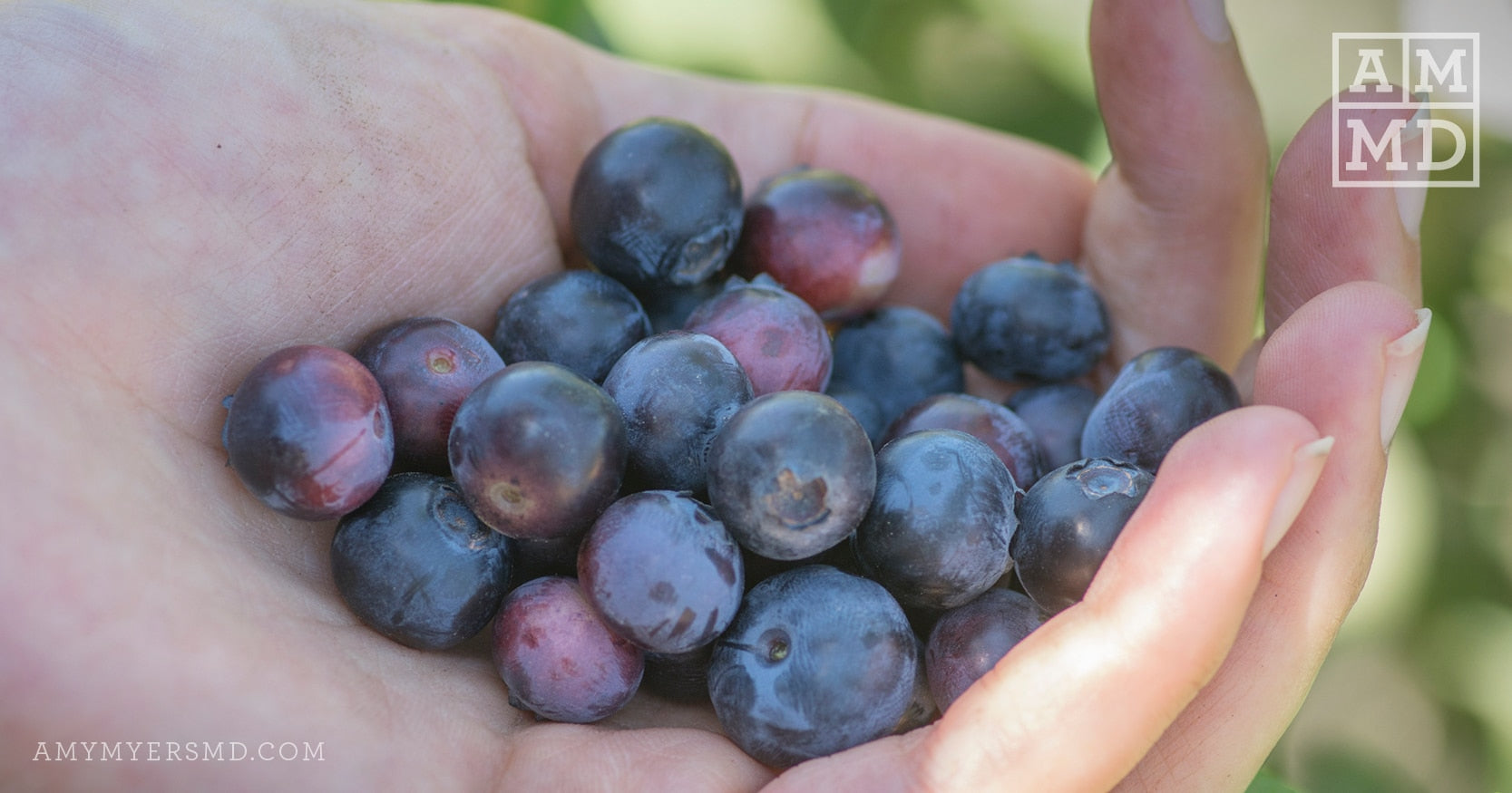 Handful of Blueberries - Free Radicals: What You Need to Know - Amy Myers MD®