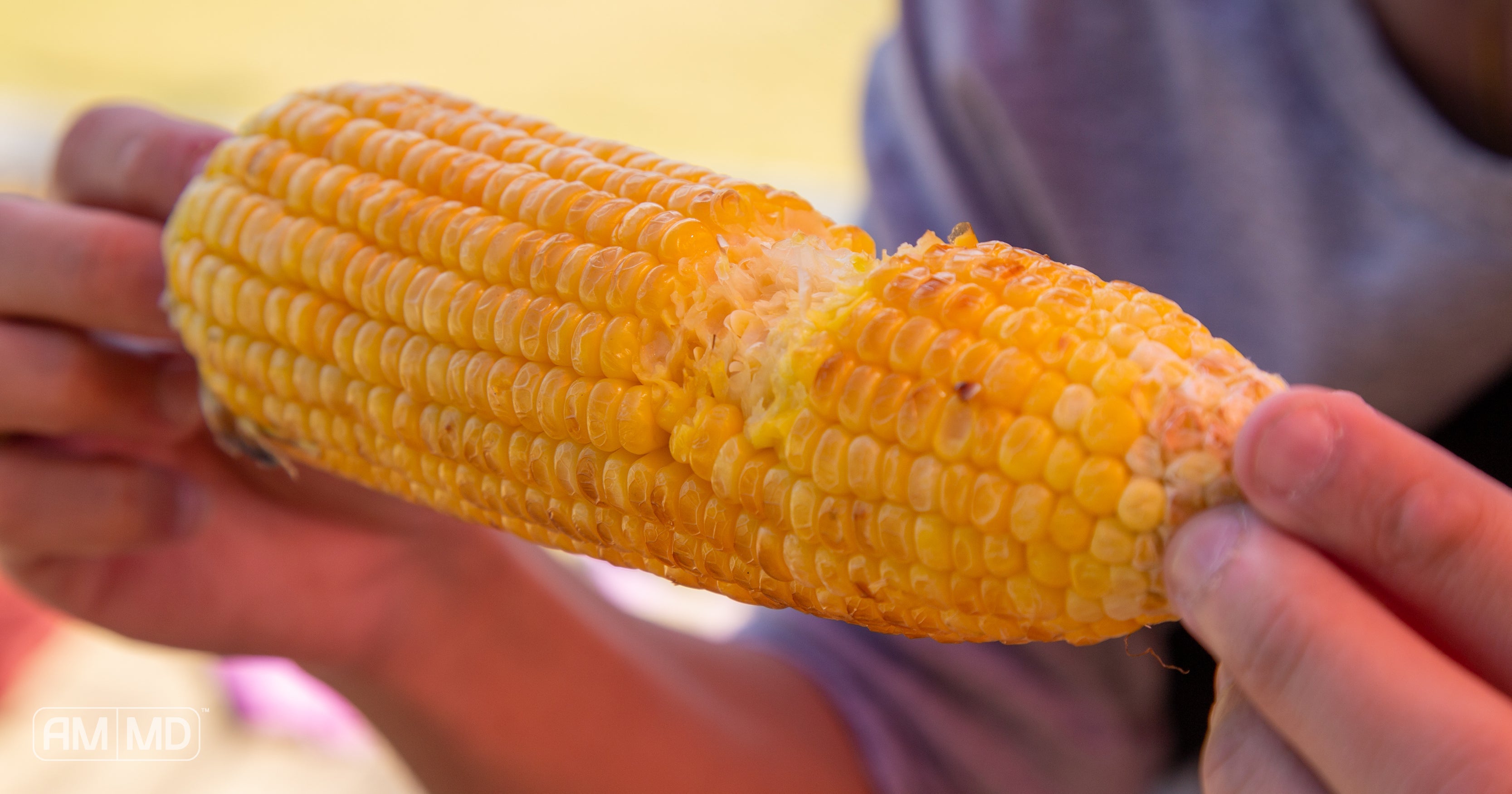 Person holding an ear of corn with a bite taken out of it - What Are Gluten Cross-Reactive Foods? - AMMD™