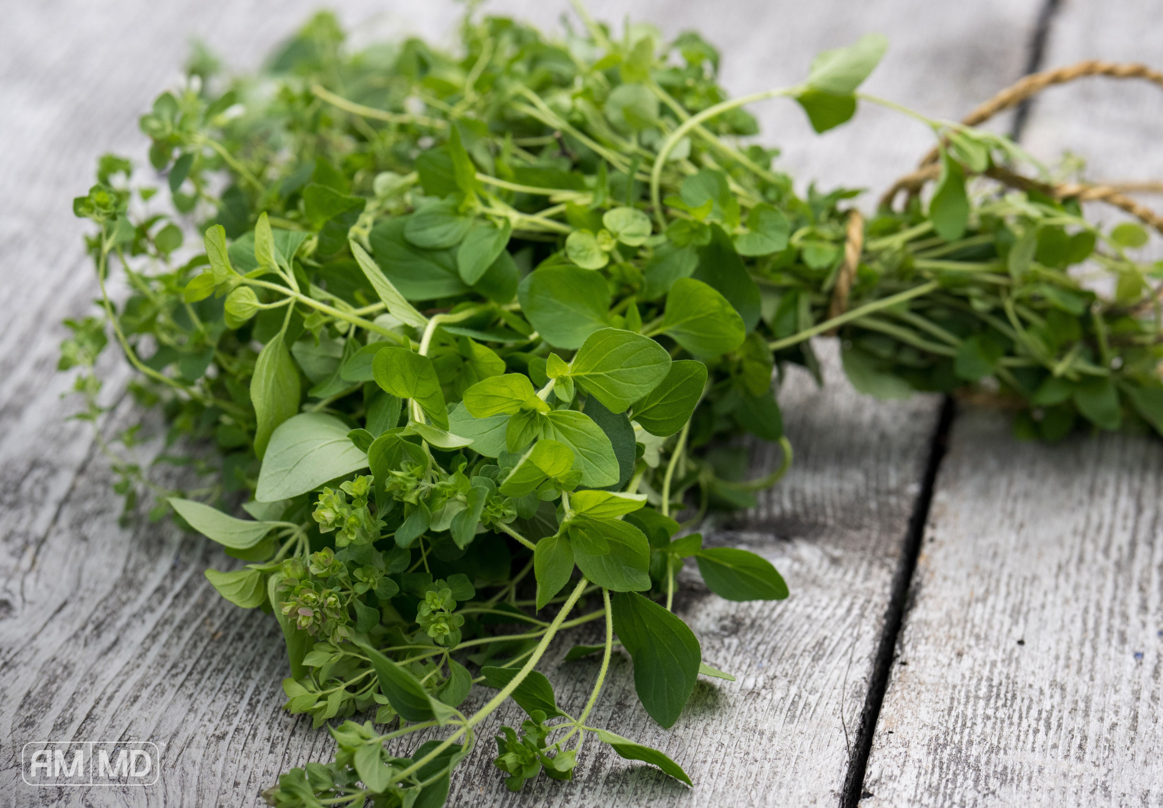 Bundle of herbs - How to Get Rid of Candida Naturally: Proven Strategies for Lasting Relief - AMMD™