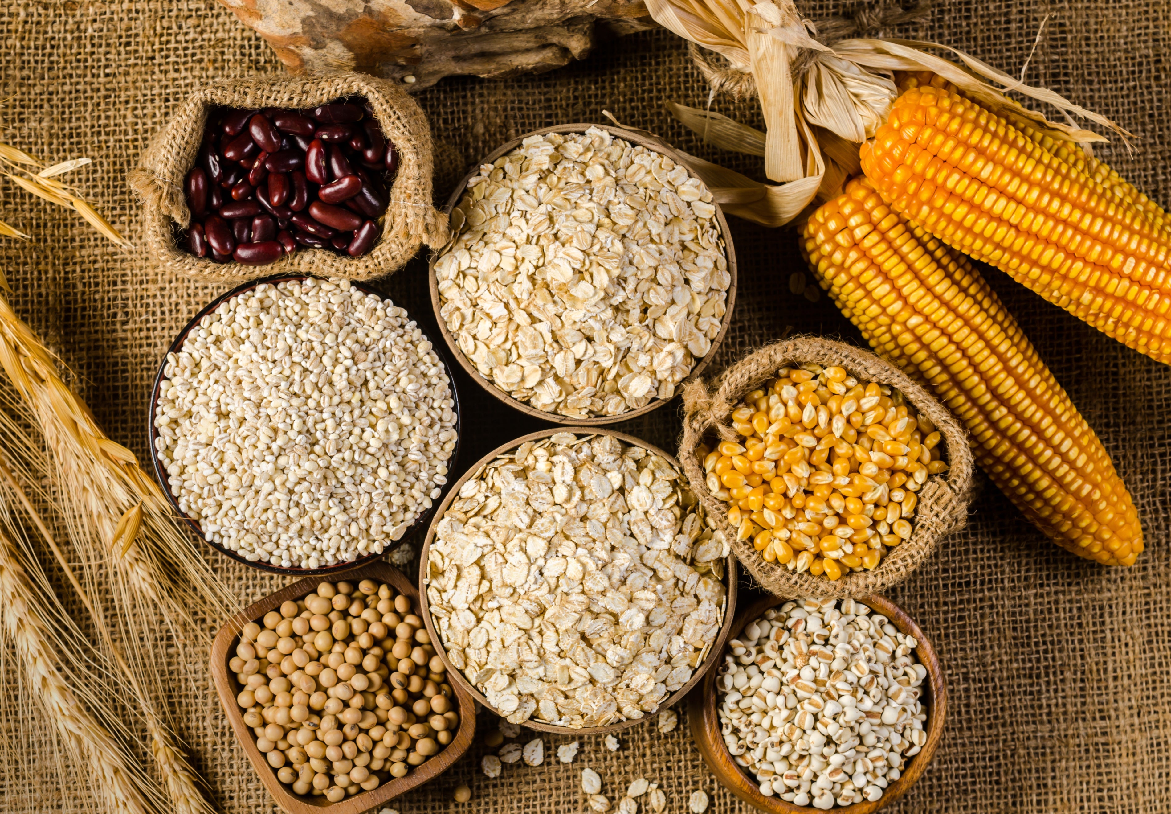 Mycotoxins in Food: Which Foods Contain Mold and How to Avoid Them