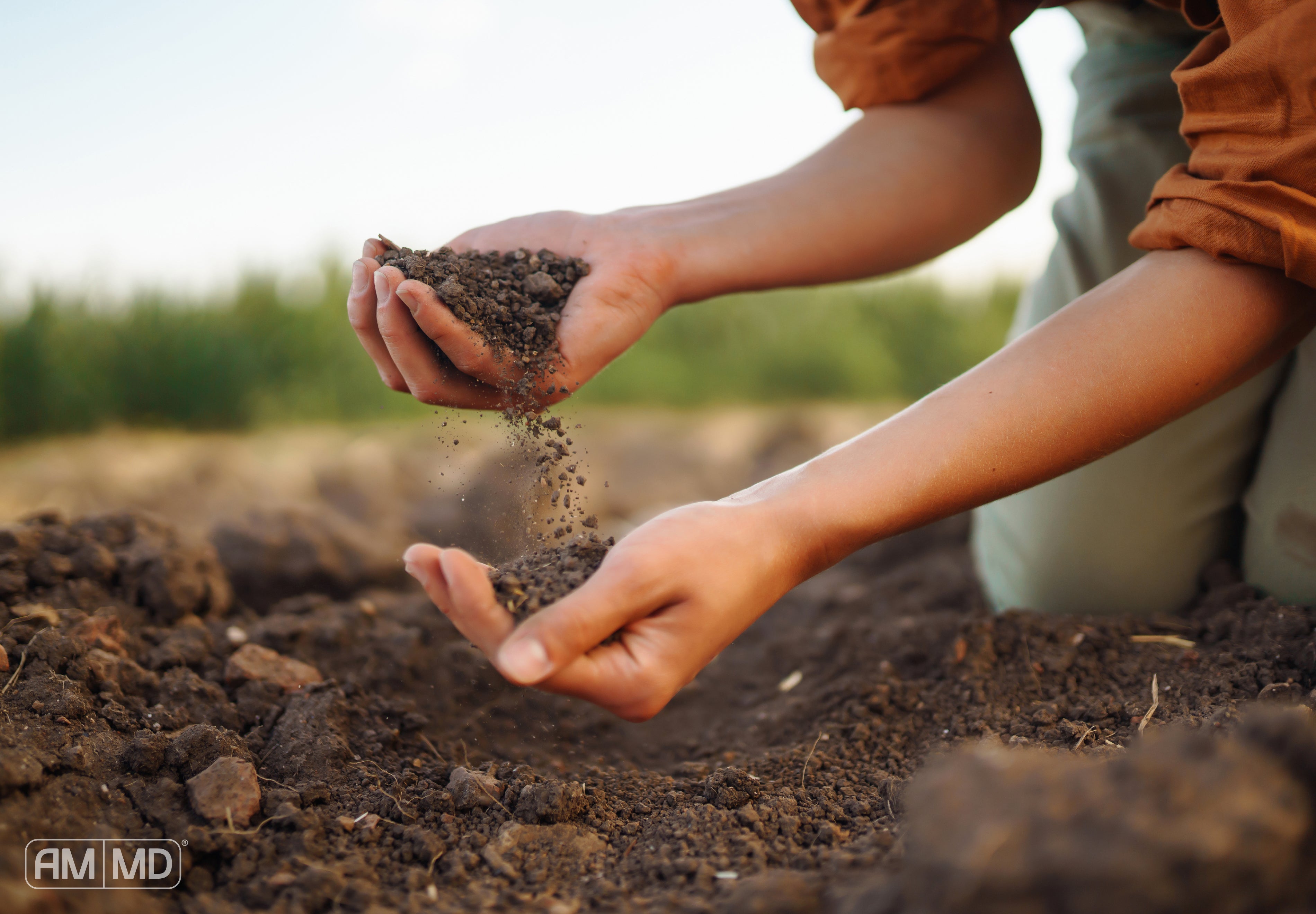 hands holding rich soil representing soil-based probiotics and natural gut microbiome balance