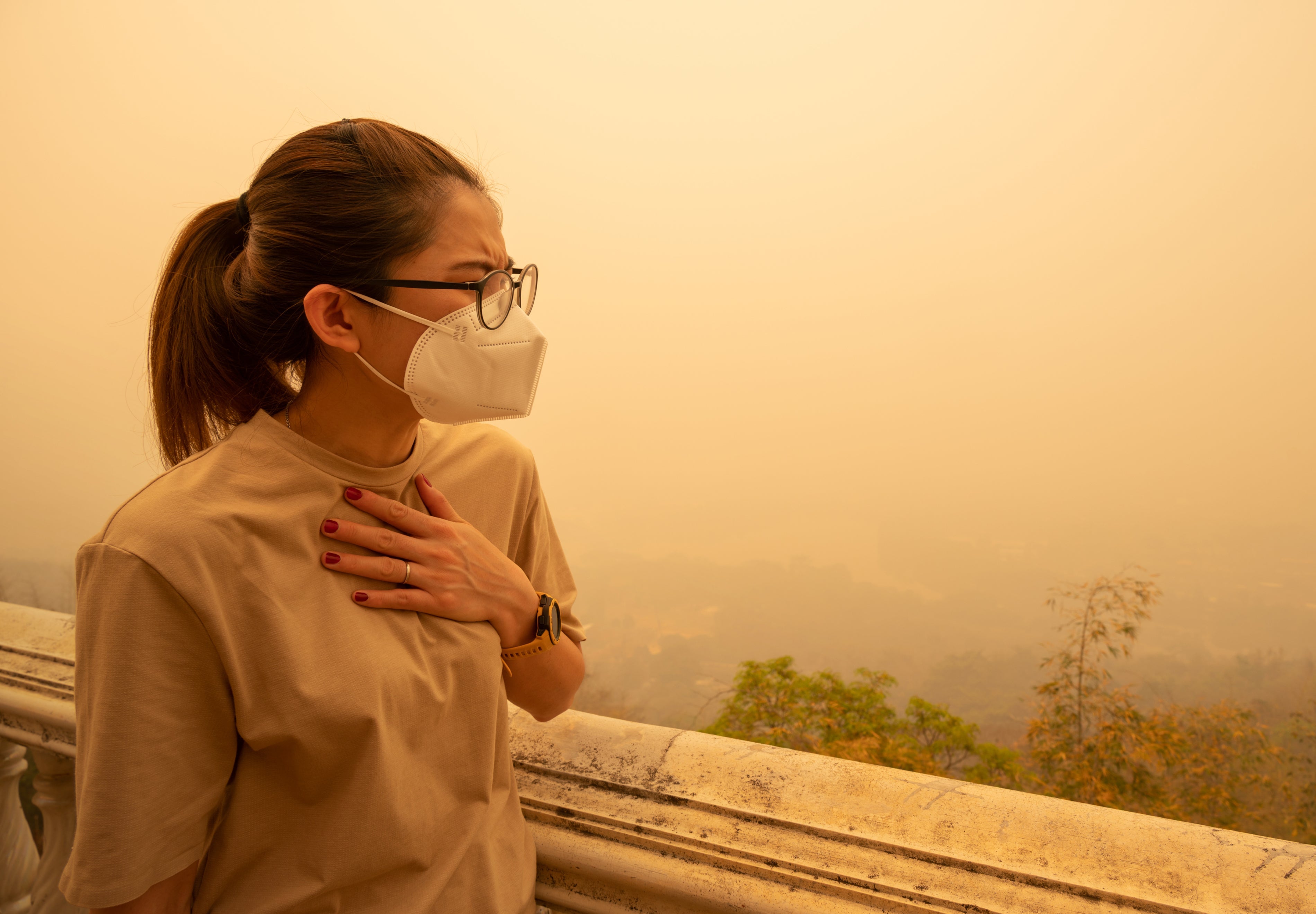 The Health Effects of Wildfire Smoke: Symptoms and How to Detox