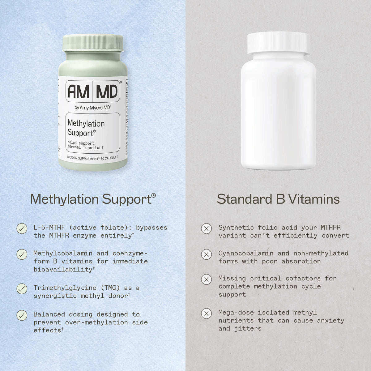 AMMD Methylation Support Vs Other Brands