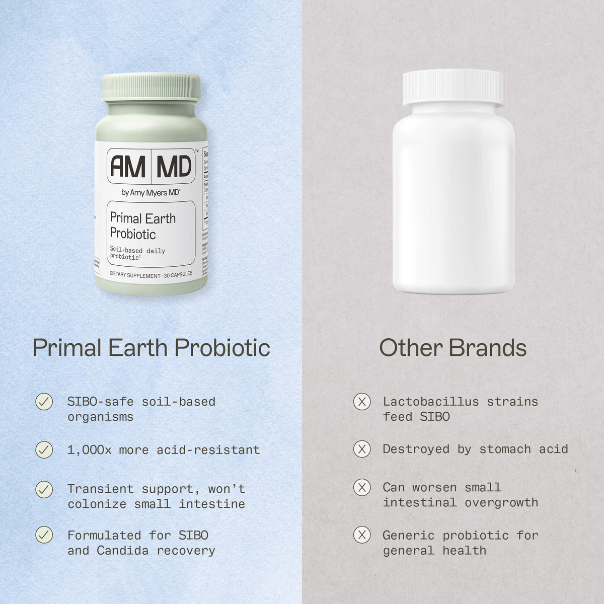 Why Primal Earth Probiotic Works When Traditional Probiotics Don't infographic